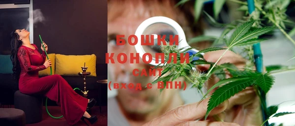 ГАЛЛЮЦИНОГЕННЫЕ ГРИБЫ Снежногорск