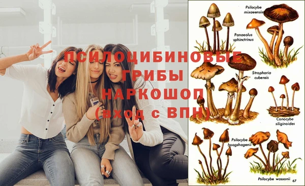 дживик Балабаново