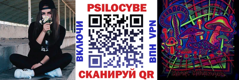 Галлюциногенные грибы Psilocybe  Горнозаводск 
